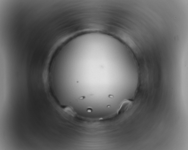 X0000092101072200709262137