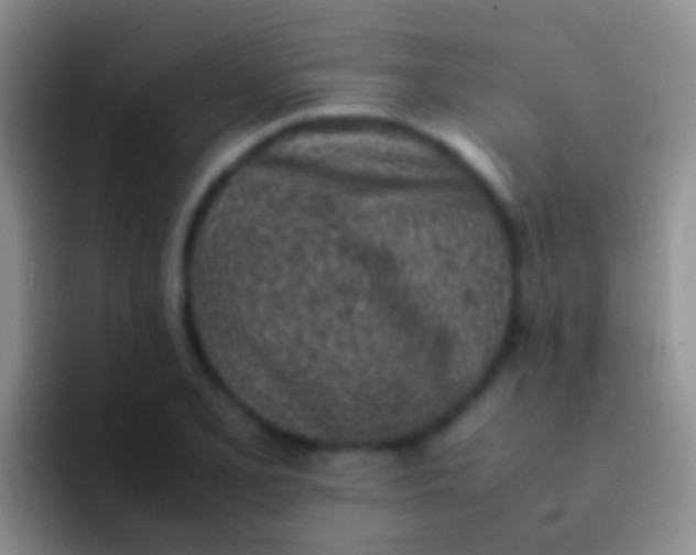 X0000092101077200709262137