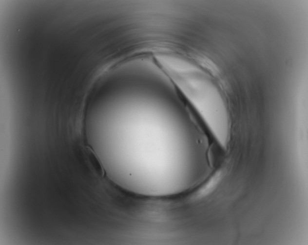 X0000092101081200709262137