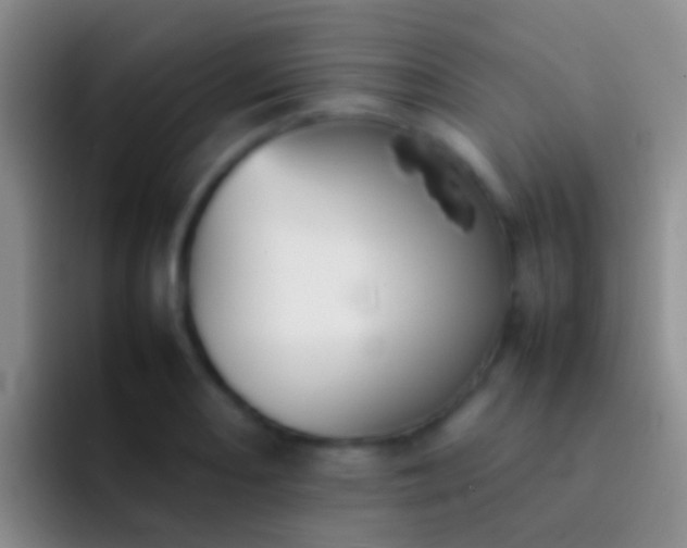 X0000092101082200709262137