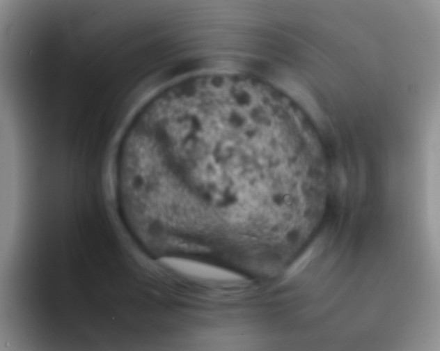 X0000092101083200709262137