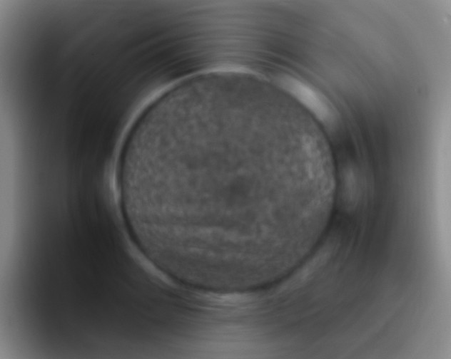 X0000092101084200709262137