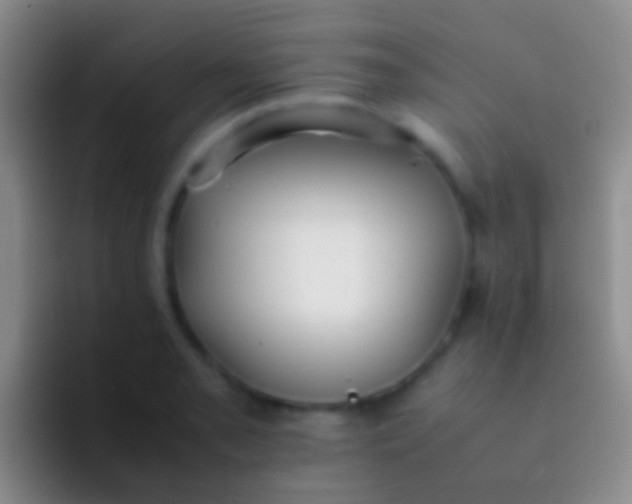 X0000092101085200709262137