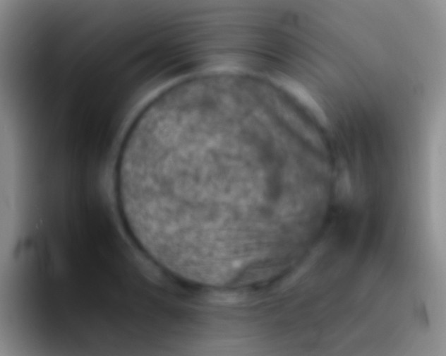 X0000092101086200709262137