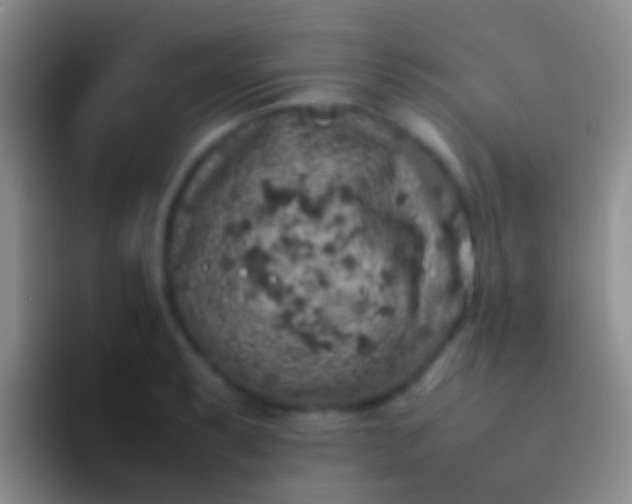 X0000092101087200709262137