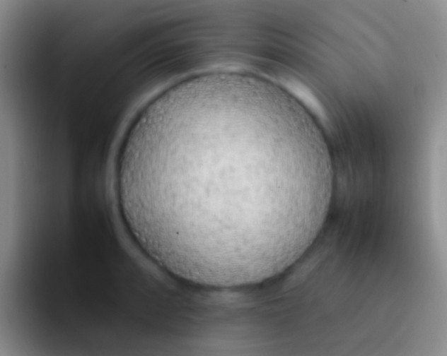 X0000092101088200709262137