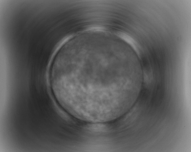 X0000092101090200709262137