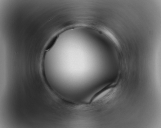 X0000092101093200709262137