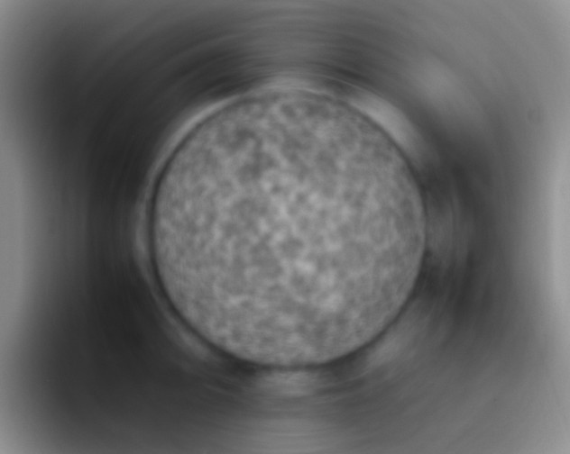 X0000092101094200709262137