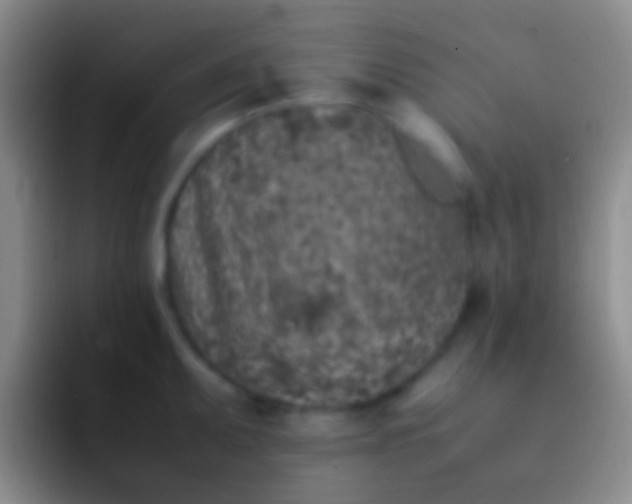 X0000092101095200709262137