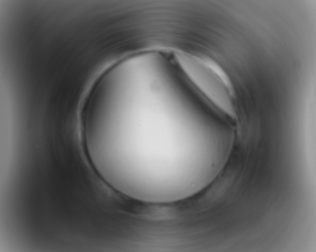 X0000092101096200709262137