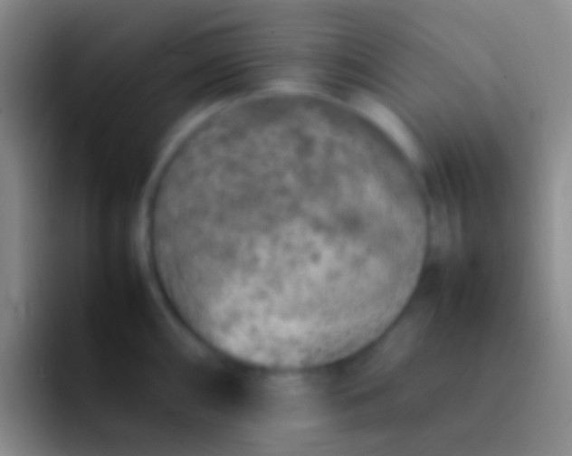 X0000092101098200709262137