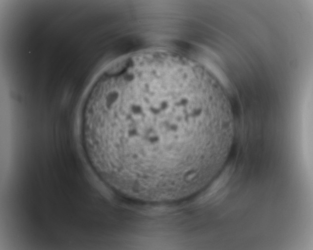 X0000092101099200709262137