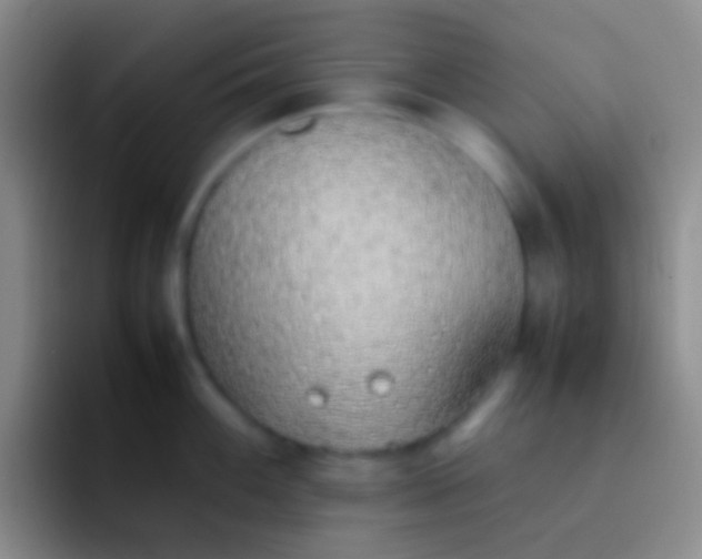 X0000092101100200709262137