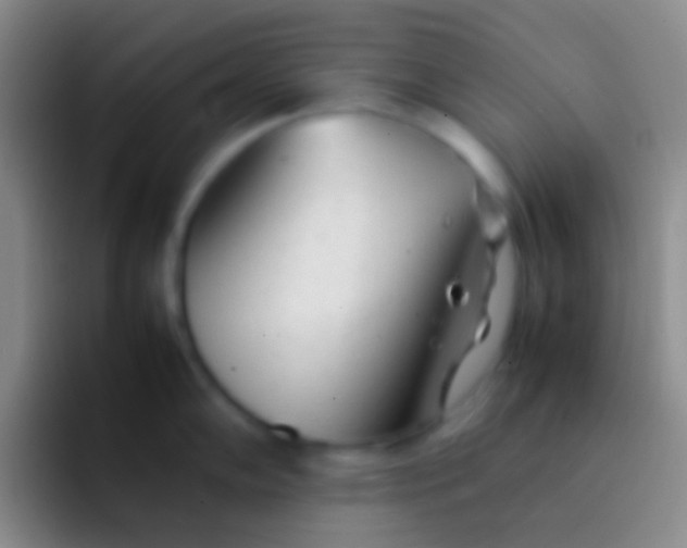 X0000092101102200709262137