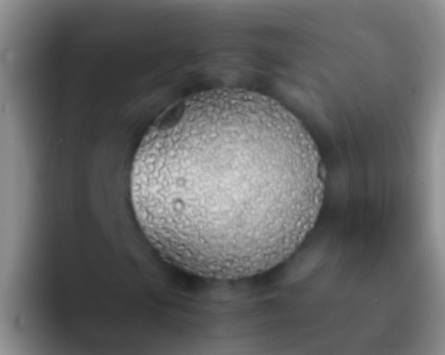 X0000092101105200709262136