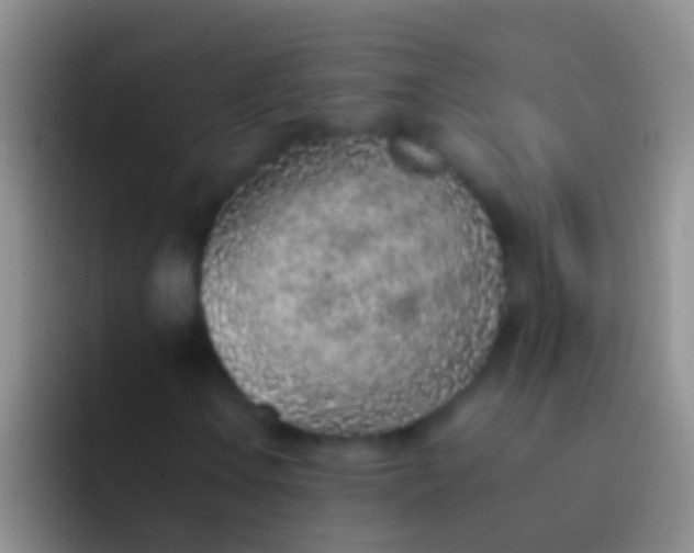 X0000092101106200709262136