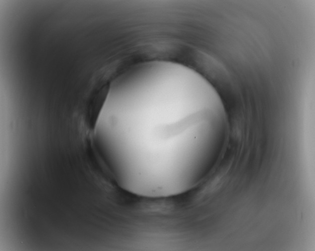 X0000092101108200709262136