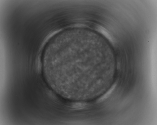 X0000092101117200709262136