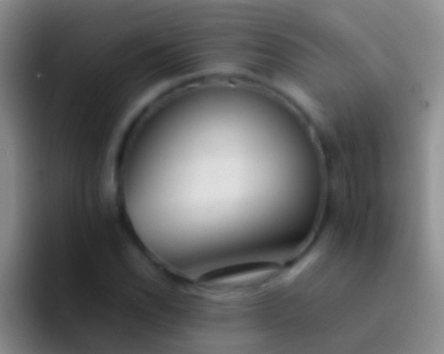 X0000092101118200709262136