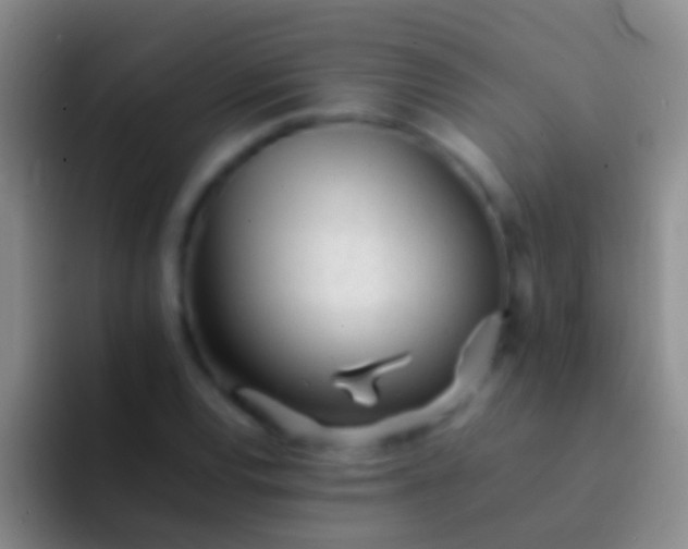 X0000092101120200709262136