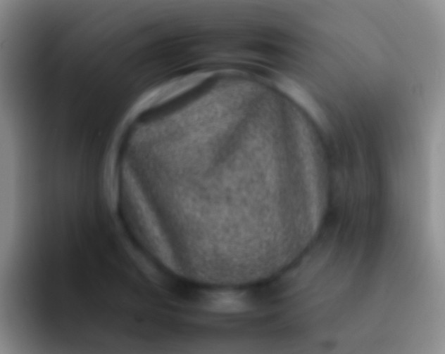 X0000092101127200709262136