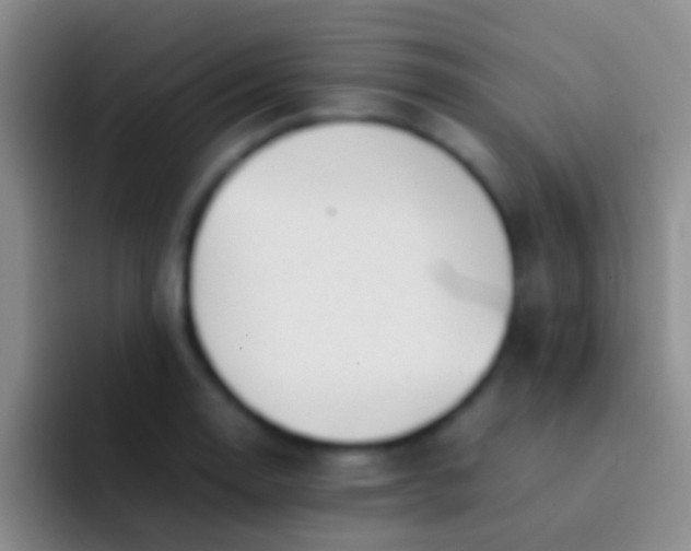 X0000092101130200709262136