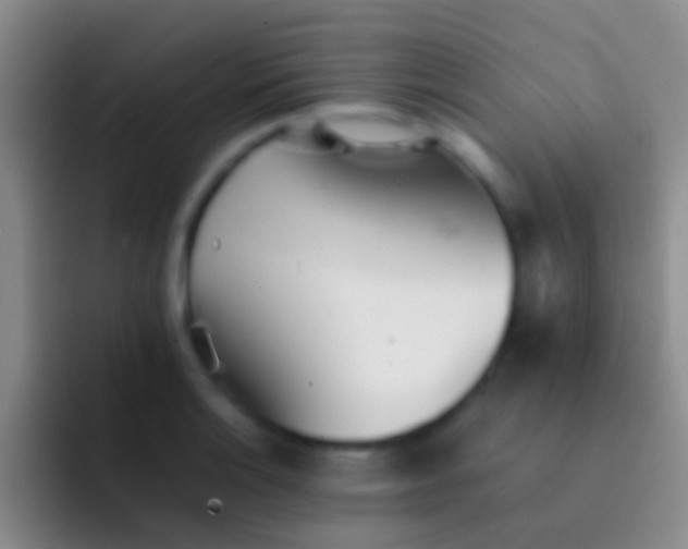 X0000092101132200709262136