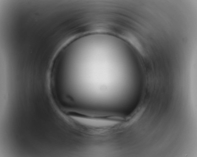 X0000092101134200709262136