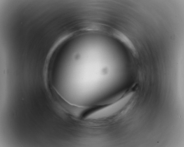 X0000092101138200709262136