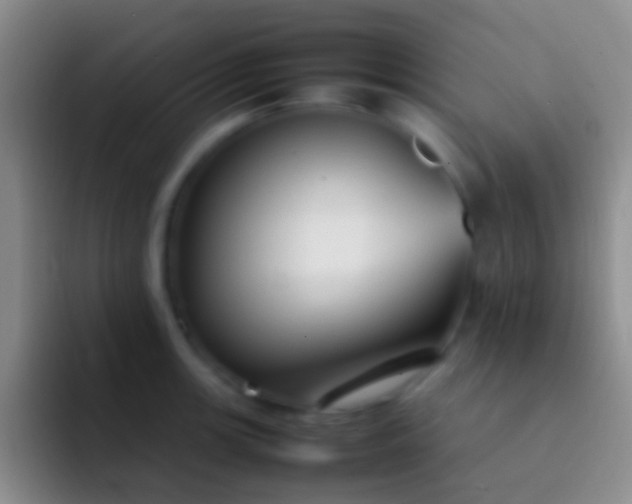 X0000092101139200709262136