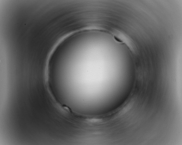 X0000092101140200709262136