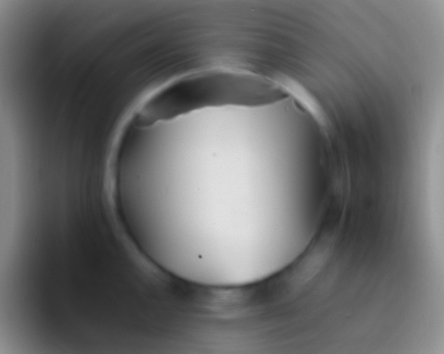 X0000092101144200709262136