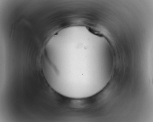 X0000092101145200709262136