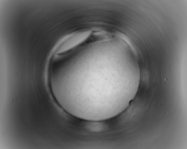 X0000092101147200709262136