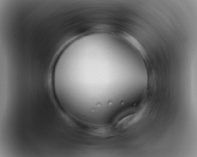 X0000092101149200709262136