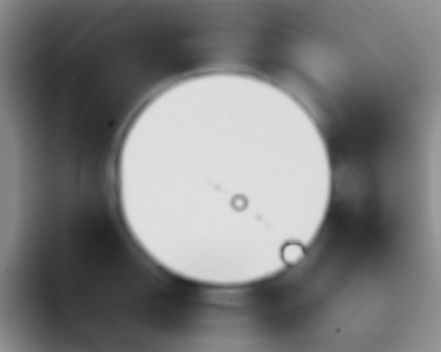 X0000092101150200709262136