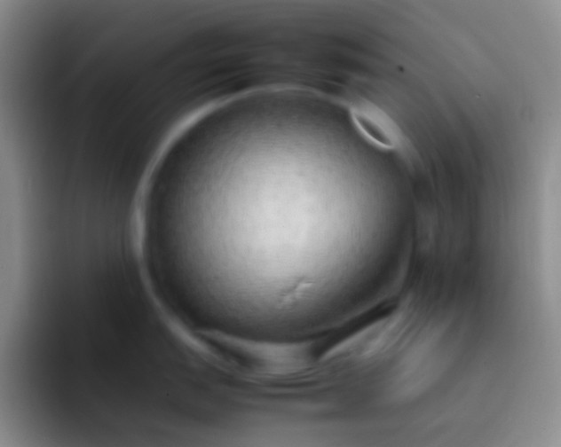 X0000092101151200709262136