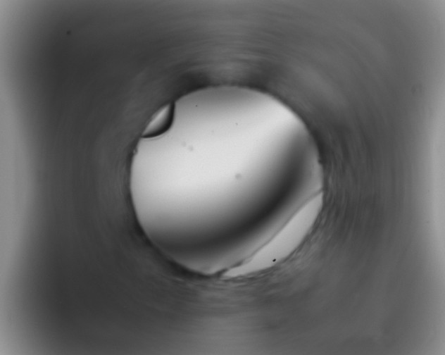 X0000092101153200709262136