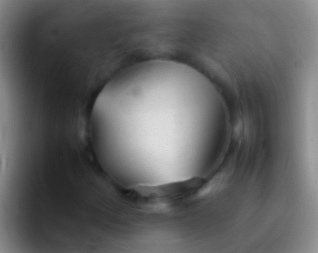 X0000092101156200709262136