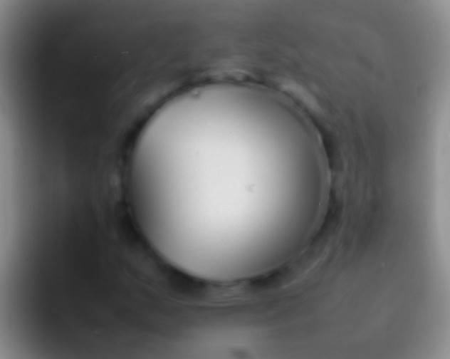 X0000092101159200709262136