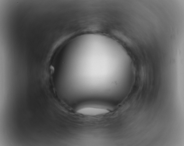 X0000092101160200709262136