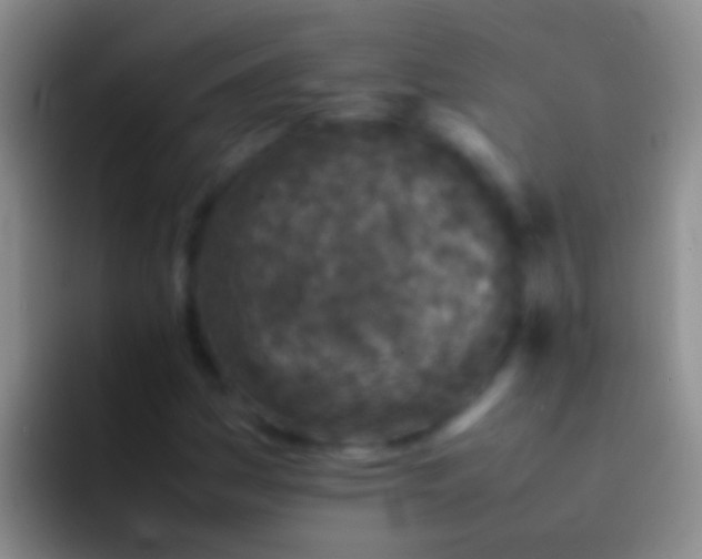 X0000092101161200709262136