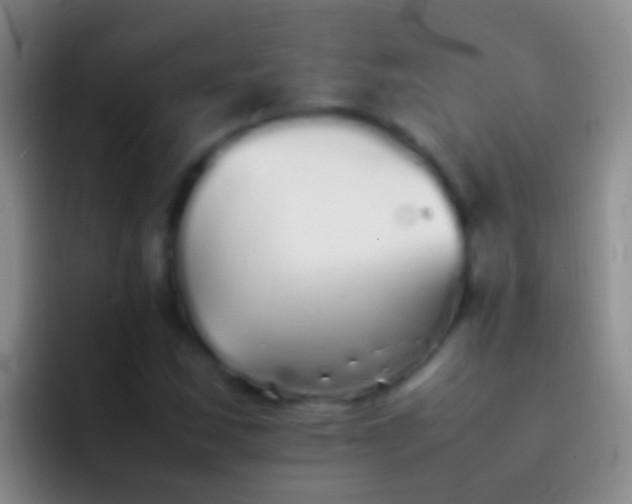 X0000092101163200709262136