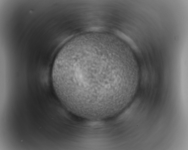 X0000092101170200709262136