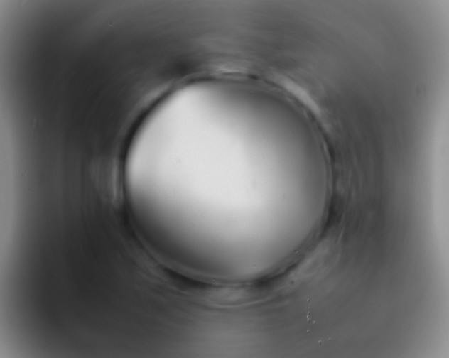 X0000092101171200709262136