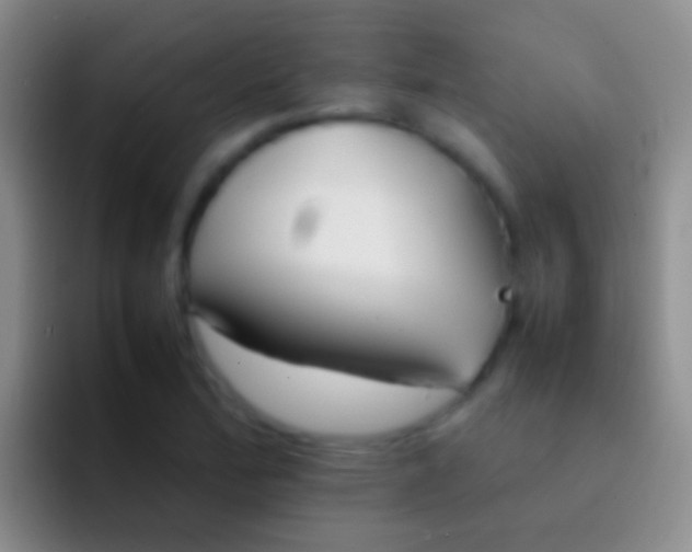 X0000092101172200709262136