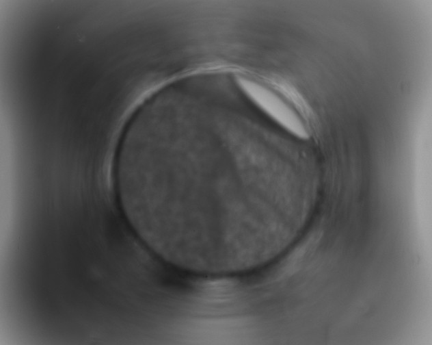 X0000092101173200709262136