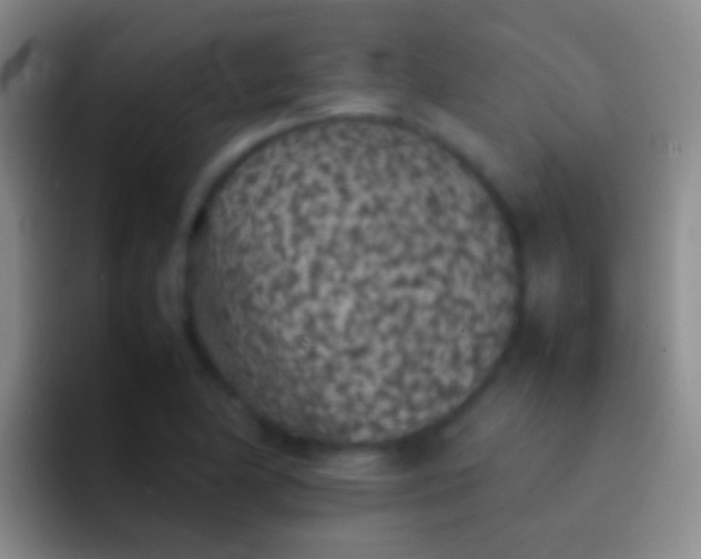 X0000092101174200709262136