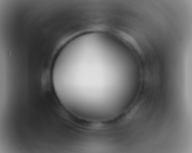 X0000092101176200709262136